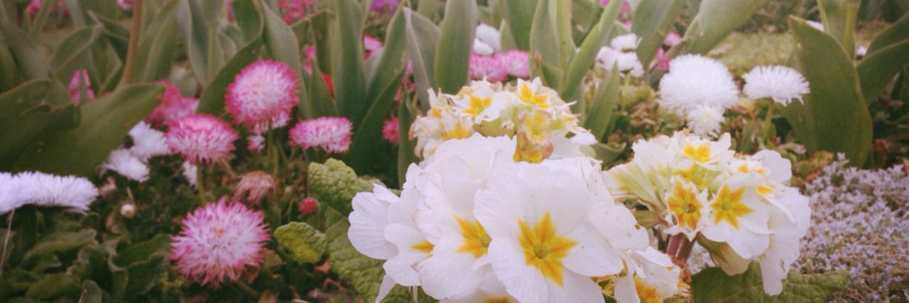 keylimecardigan's profile banner image