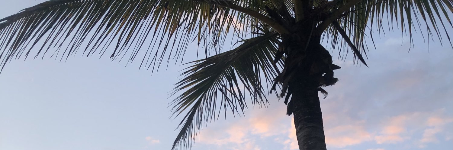 joell_rollokstr's profile banner image