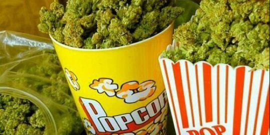 WeedDeFrance's profile banner image