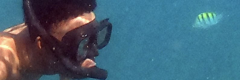 AyyeZach_'s profile banner image
