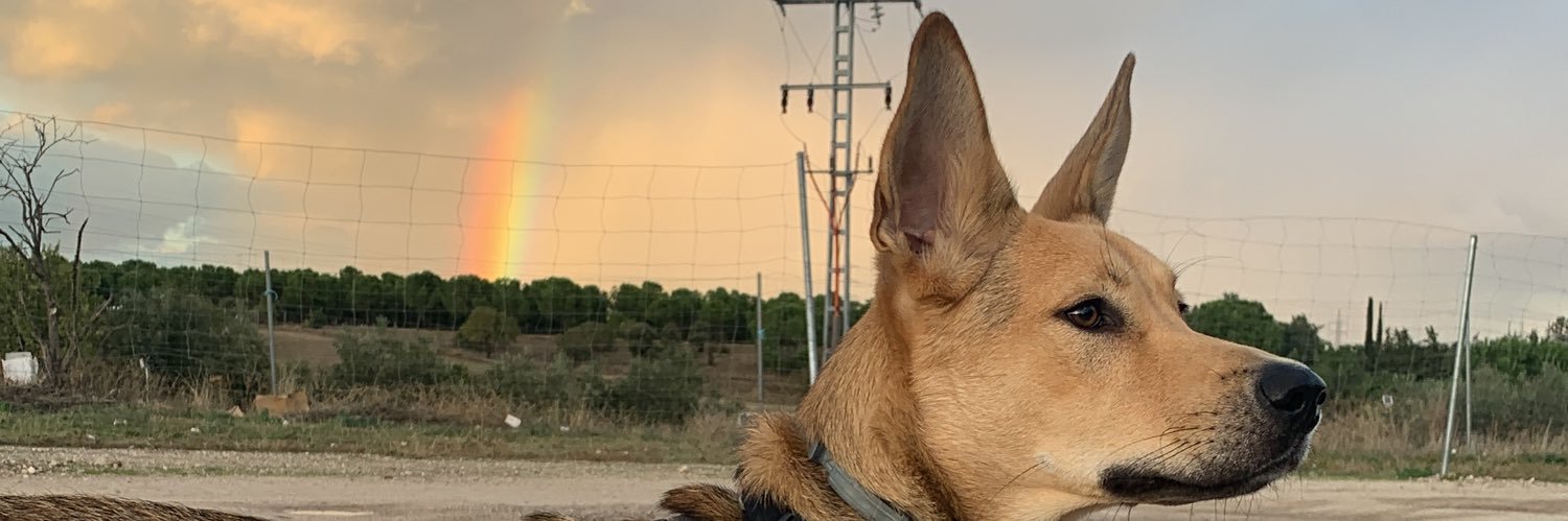 joslpb15's profile banner image