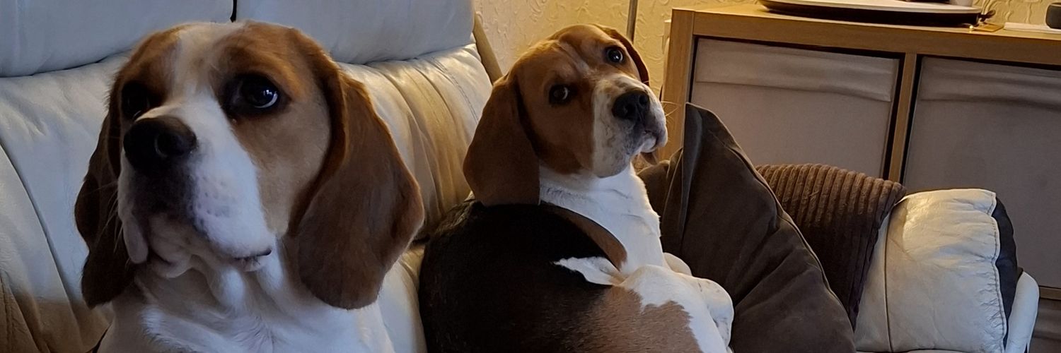 carolf_71's profile banner image