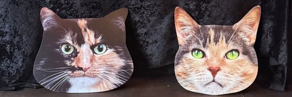 BurdsIVue Profile Banner