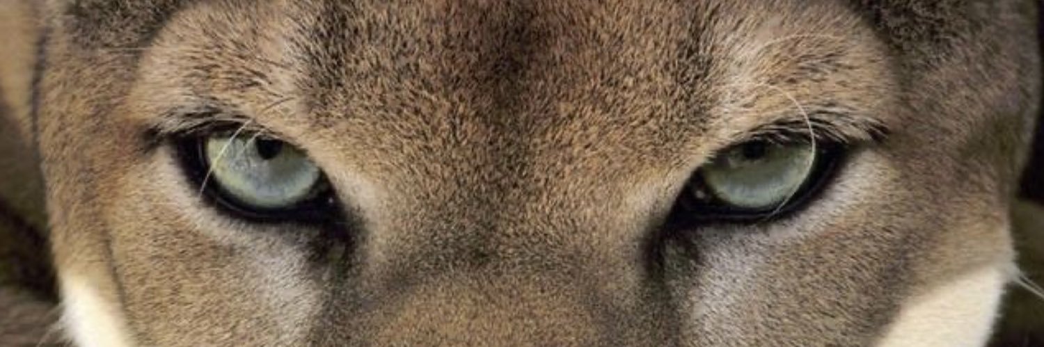twittesparaday's profile banner image