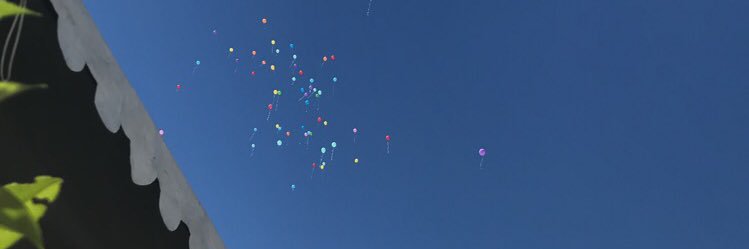 Lisvmlln_'s profile banner image