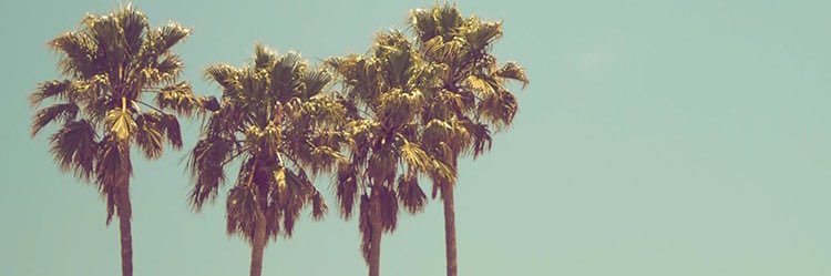 dem_aba's profile banner image