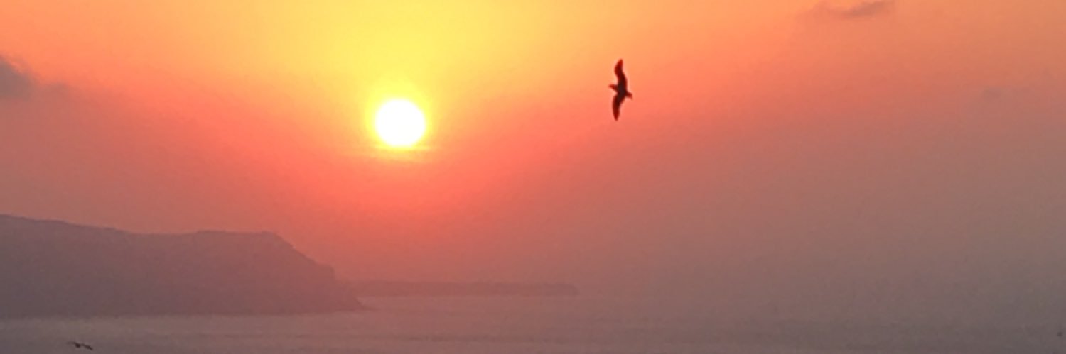 holwint's profile banner image