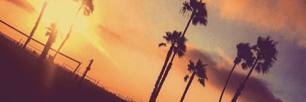 laurenNewson's profile banner image