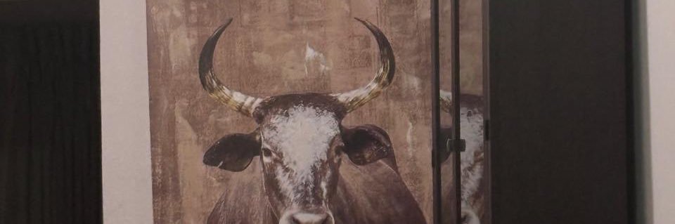 Omooba 🇳🇬 banner