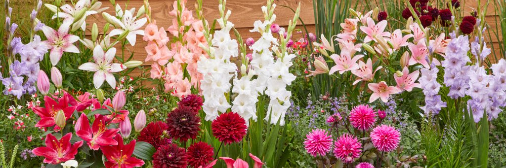 GardenStateBulb's profile banner image