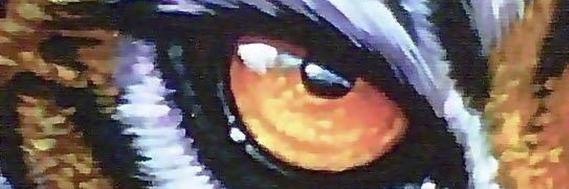 daddyblake13's profile banner image