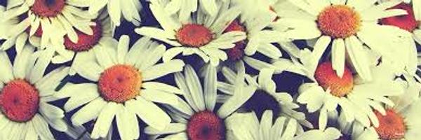 jgapwool Profile Banner