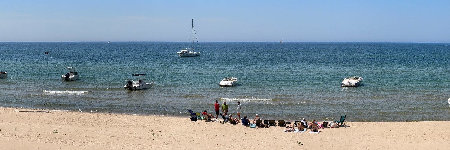 Michael Schanhals banner