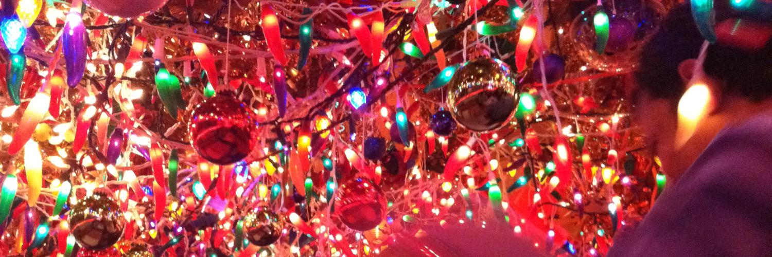 wendy schneider banner
