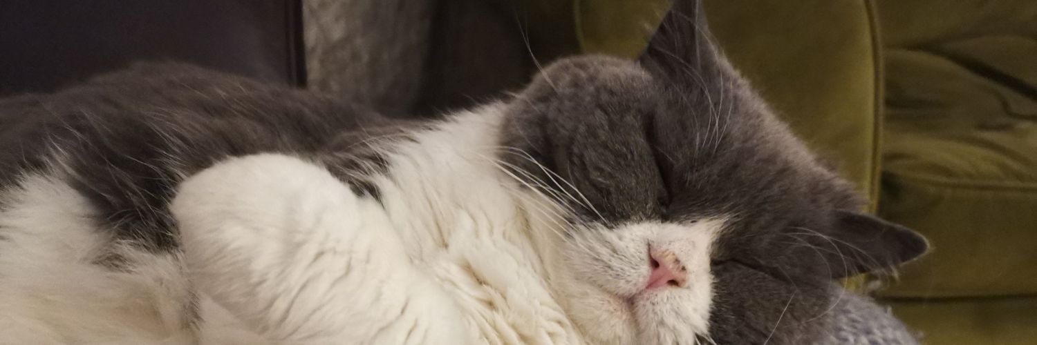 DDEE69's profile banner image