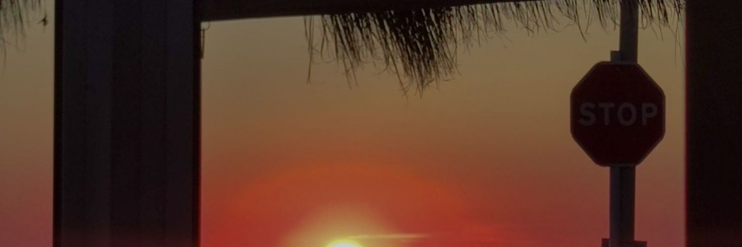 frnv_11's profile banner image