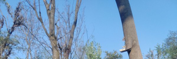 CryptoMaster508 Profile Banner