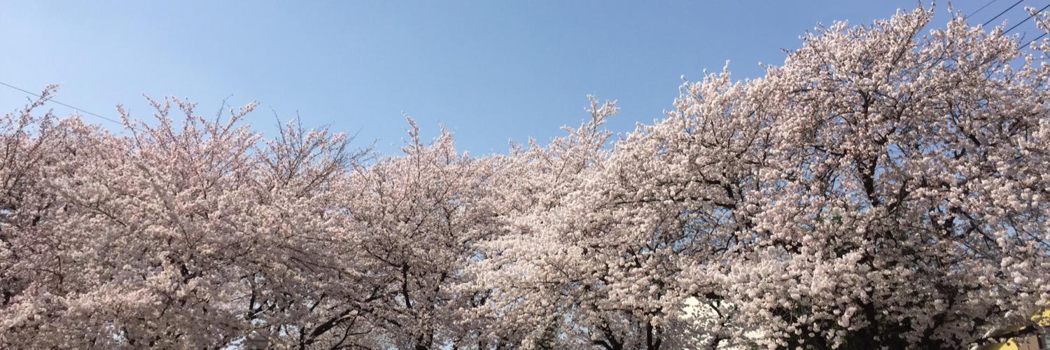 zepp_of_queen's profile banner image