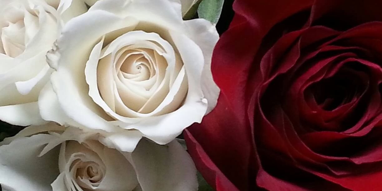 rghee61's profile banner image