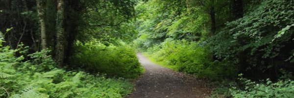 oscarmh Profile Banner