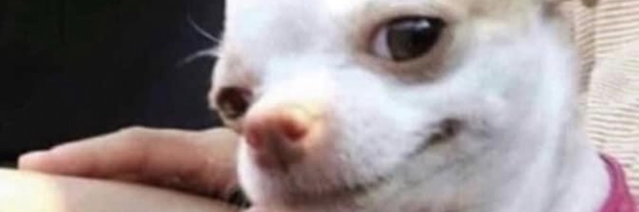 jassss_L's profile banner image