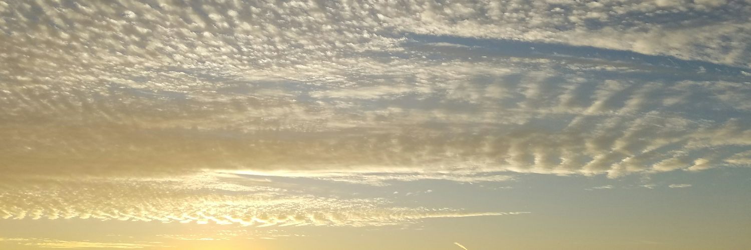 reyesv01's profile banner image