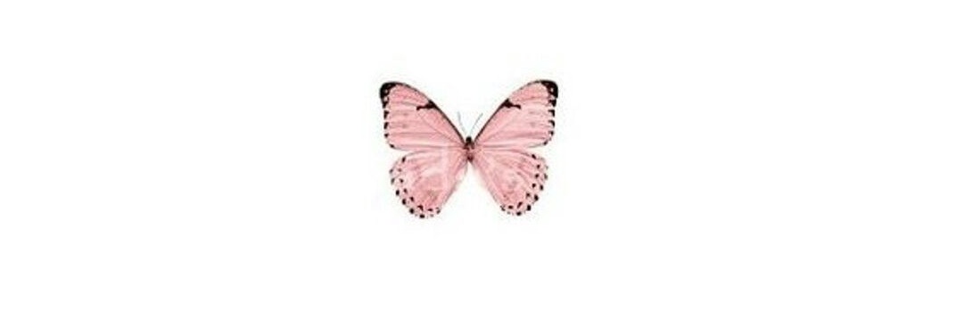 ℛσcℎყ ‏ ☆ banner