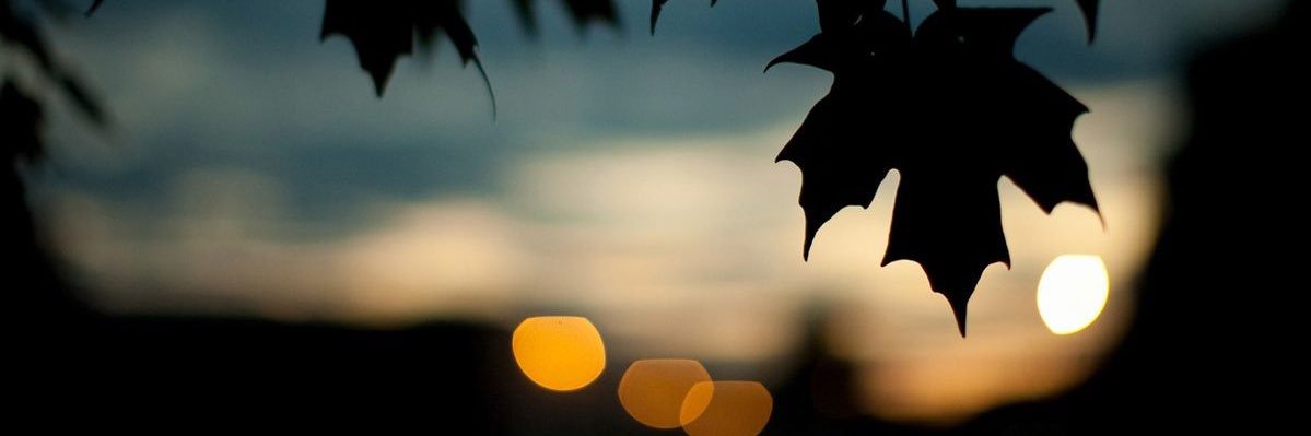 SharpeWASP's profile banner image