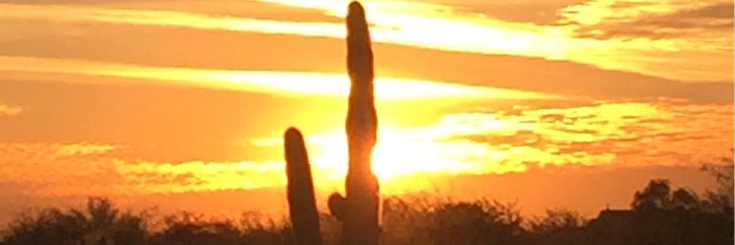 SonoranSpirit's profile banner image