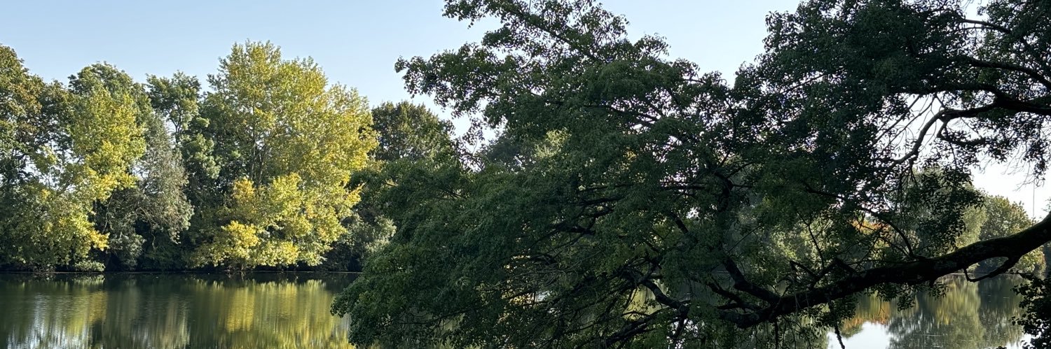 Zan37_'s profile banner image