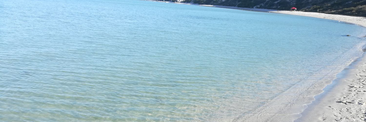 Wafa_Dee's profile banner image