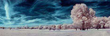 Comicbuchverkäufer  banner