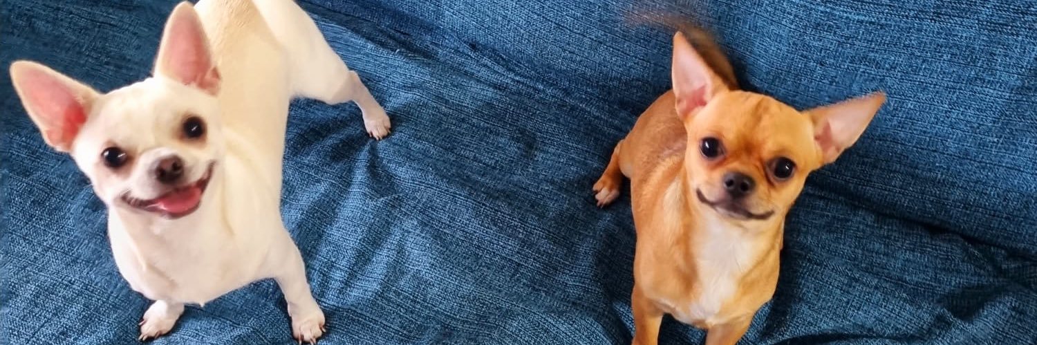 Bebethsal2's profile banner image