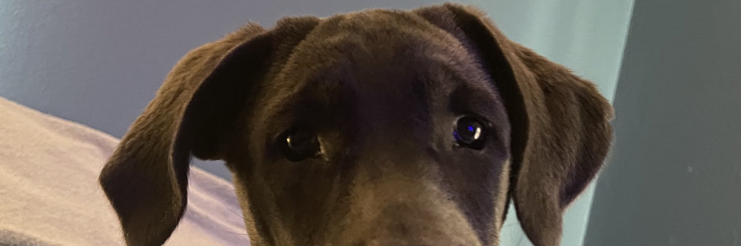 SmokeySuspect's profile banner image
