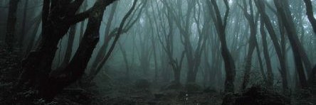 AE_Studios's profile banner image