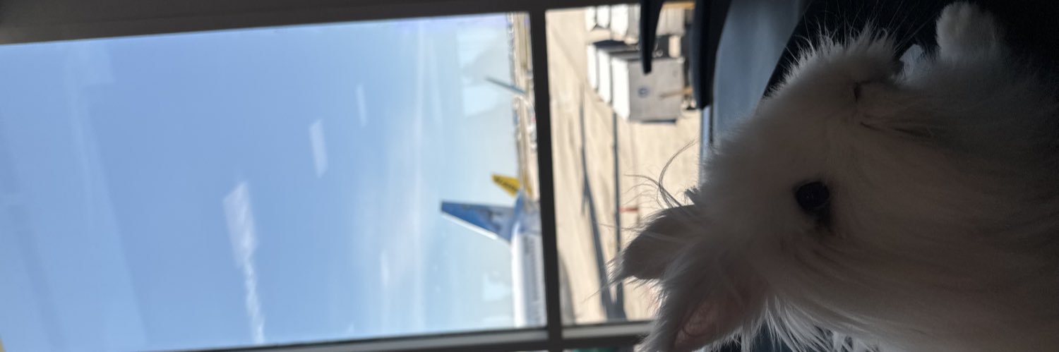 Jayleemar_'s profile banner image