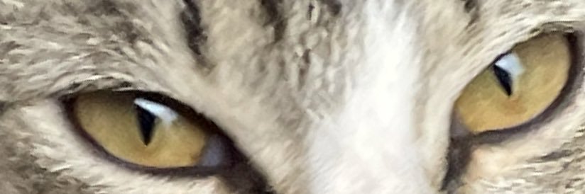 GuyCalledJoseph's profile banner image