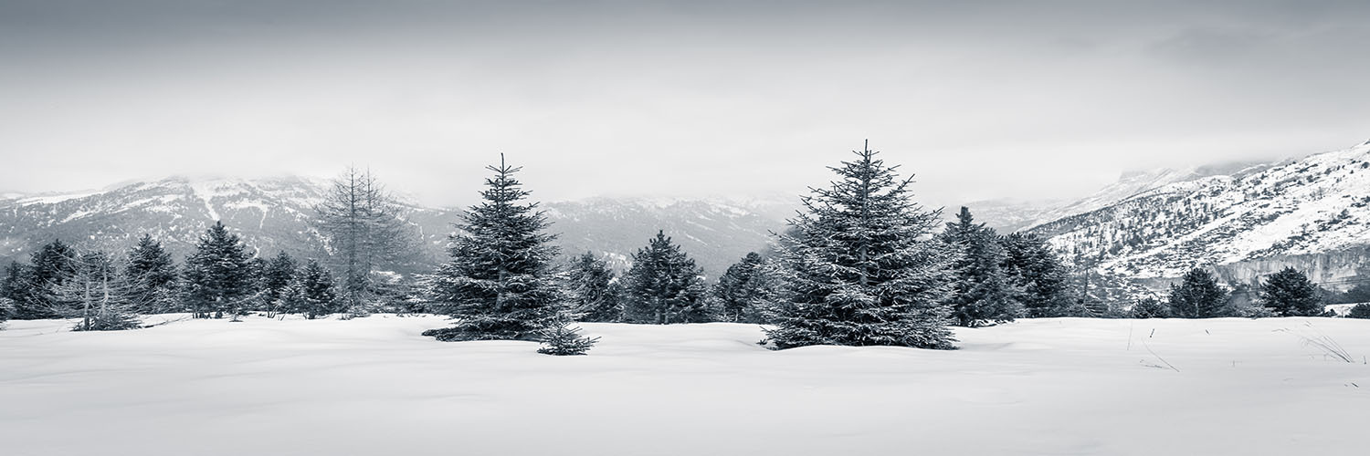 Canada in Denmark banner