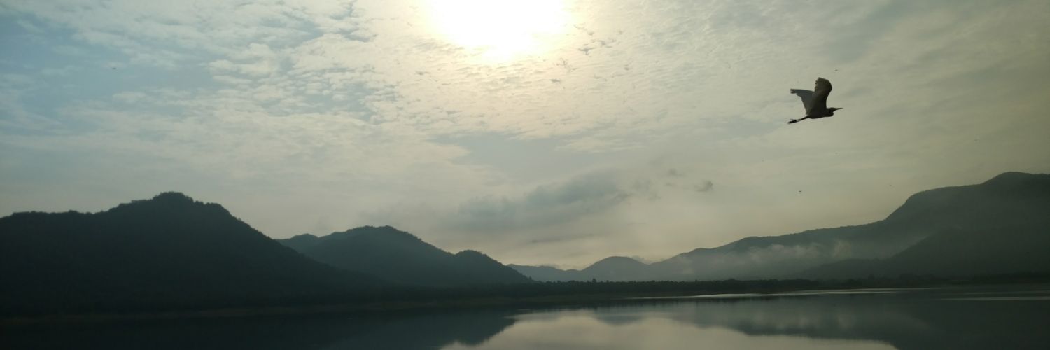jayantaKSahu's profile banner image