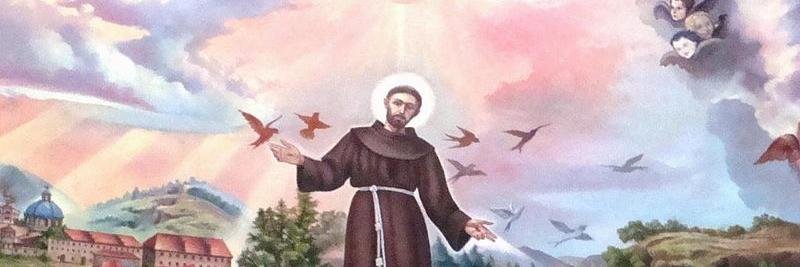 SaintofAssisi's profile banner image
