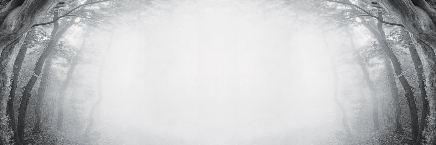 TPSisMagical's profile banner image