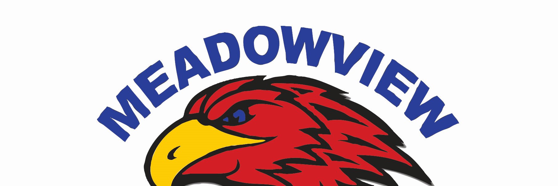 meadowviewps's profile banner image