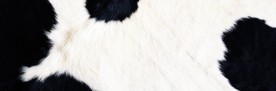 🐮Runeechan🐮 @ALA F11 banner