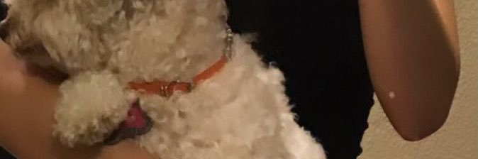 mostlyaurora03's profile banner image