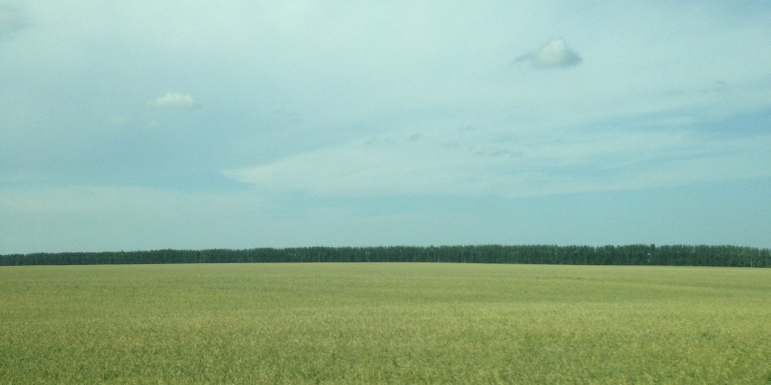 Musinovasv's profile banner image