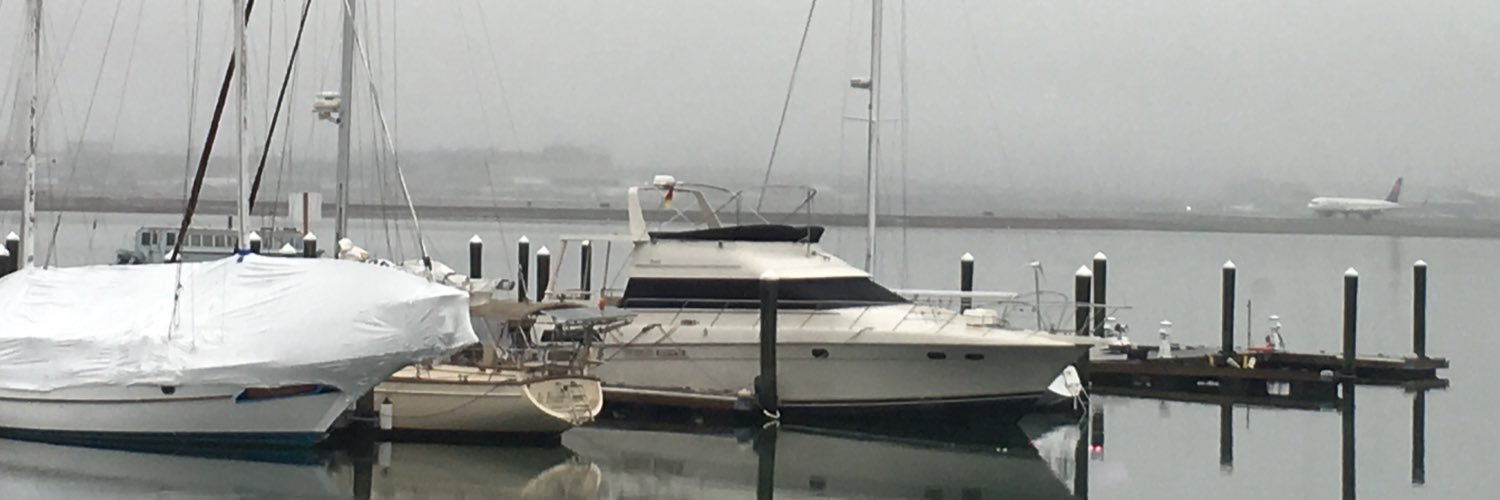 Alma Gjinishi banner