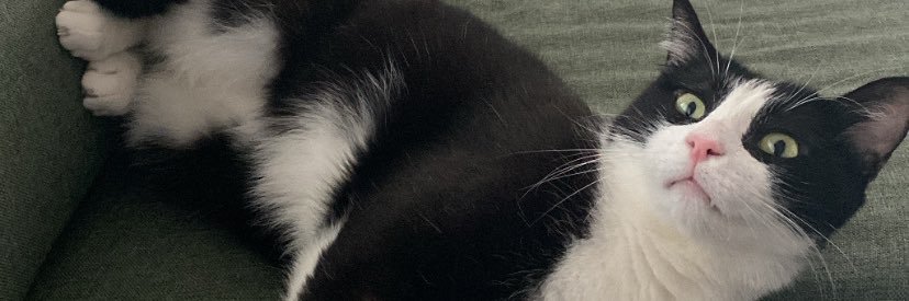 nilaygamze's profile banner image