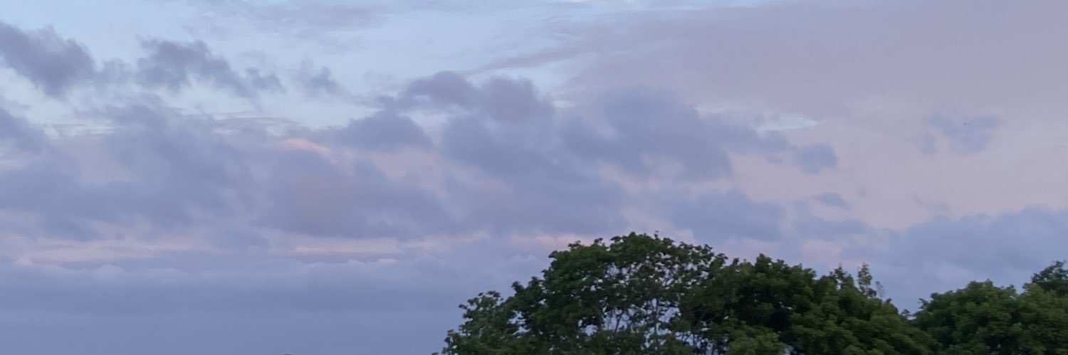 XanderPOTUS's profile banner image