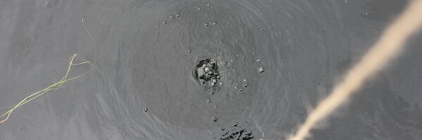 joshdevans Profile Banner