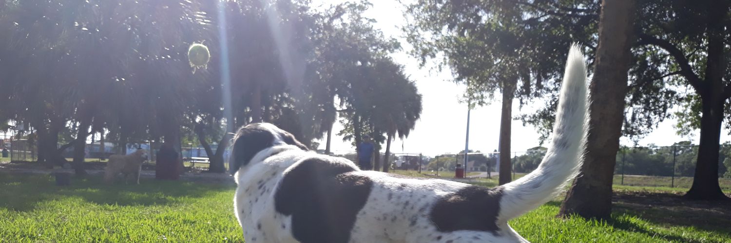 krackeerr's profile banner image